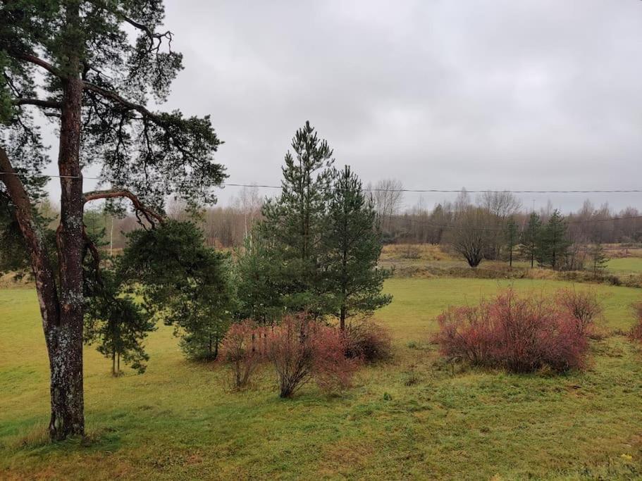 Tapa Cottage Next To Disc Golf. Exterior photo